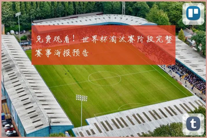 免费观看！世界杯淘汰赛阶段完整赛事海报预告
