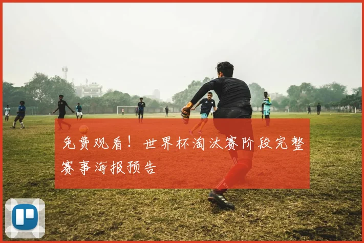 免费观看！世界杯淘汰赛阶段完整赛事海报预告