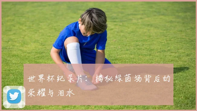 世界杯纪录片：揭秘绿茵场背后的荣耀与泪水