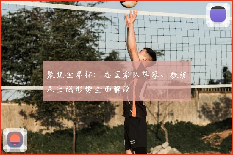 聚焦世界杯：各国家队阵容、教练及出线形势全面解读