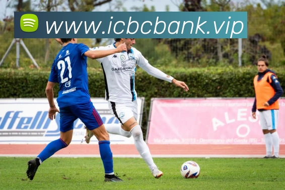 九游体育平台官网APP 封面图